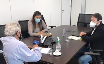 Crea-ES e CRMV-ES se unem contra o Projeto de Lei nº 1428/2021 e na defesa pela valorização profissional