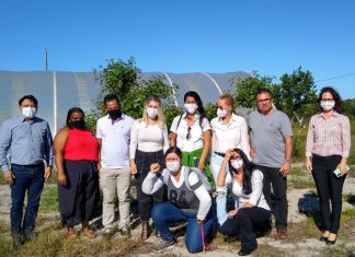 Plano AgroNordeste é lançado para fortalecer a cadeia produtiva da pimenta capixaba