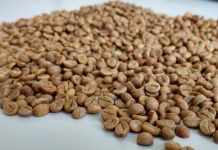 Café conilon atinge o maior preço pago pela Cooabriel