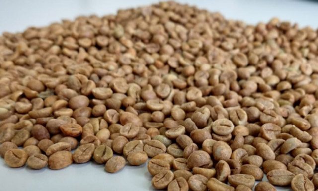 Café conilon atinge o maior preço pago pela Cooabriel