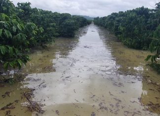 Alerta vermelho: ES recebe aviso de “grande perigo” por causa da chuva