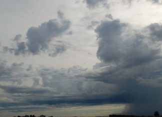 Outono começa no dia 20 de março com chuvas intensas e queda de temperatura no Sul e Sudeste do país