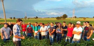 MEC alerta universidades públicas sobre ART de professores