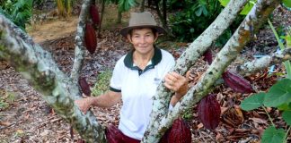 Produtora de Linhares consegue aumentar 40% em sua produção de cacau com assistência técnica