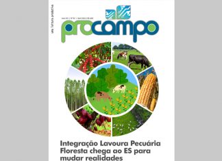 Edição 93 da Procampo está disponível no formato digital