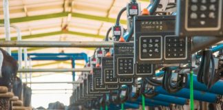 Condomínio Leiteiro Coopeavi é inaugurado