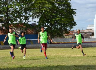 A força do crédito: Cooperativas superam instituições públicas e privadas e transformam realidades