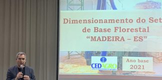 Setor de base florestal do Espírito Santo prevê investimentos de R$ 3,42 bilhões nos próximos anos