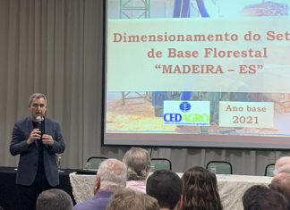 Setor de base florestal do Espírito Santo prevê investimentos de R$ 3,42 bilhões nos próximos anos