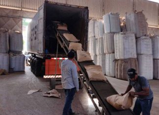 Nater Coop faz primeira exportação de pimenta-do-reino