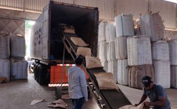 Recordes históricos de exportações acendem sinal de alerta para fiscalização agropecuária