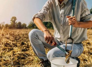Laboratório de Análises Cooabriel renova credenciamentos em programas de qualidade