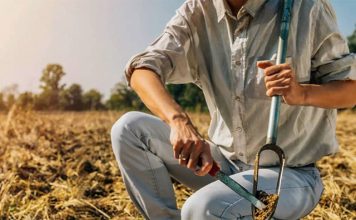 Dia Nacional da Conservação do Solo reforça importância de práticas agrícolas sustentáveis