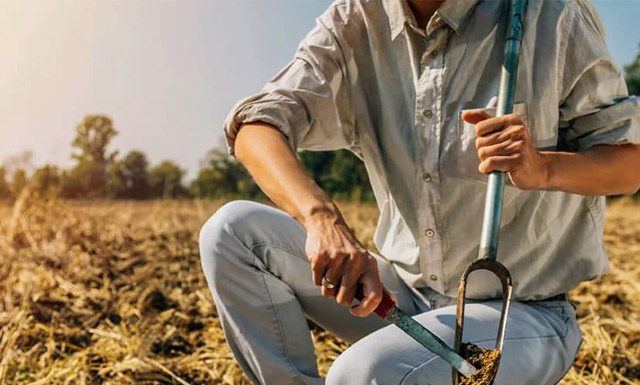 Dia Nacional da Conservação do Solo reforça importância de práticas agrícolas sustentáveis