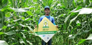 Nater Coop abre inscrições para o 3º Torneio de Silagem de Milho