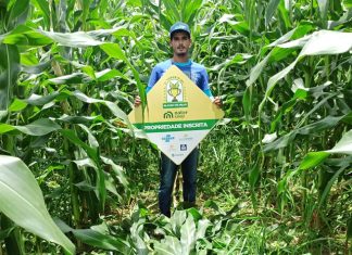 Nater Coop abre inscrições para o 3º Torneio de Silagem de Milho