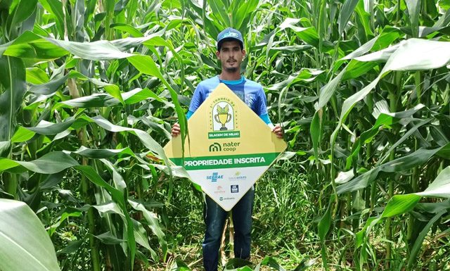 Nater Coop abre inscrições para o 3º Torneio de Silagem de Milho