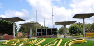 Doutora em Genética e Melhoramento é nomeada para a Ceplac