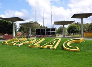 Doutora em Genética e Melhoramento é nomeada para a Ceplac