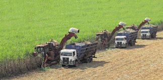 Crescimento da economia brasileira é impulsionado pela alta de mais de 15% do agro em 2023