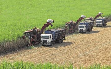 Crescimento da economia brasileira é impulsionado pela alta de mais de 15% do agro em 2023