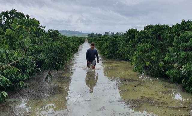Faes orienta produtores sobre perdas em propriedades por conta das chuvas