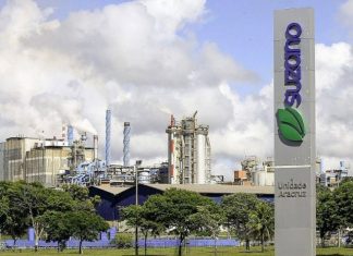Suzano totaliza R$ 18,6 bilhões em investimentos em 2023