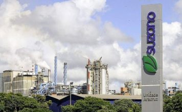 Suzano e parceiros investem mais de R$ 52 milhões para impulsionar geração de renda no País