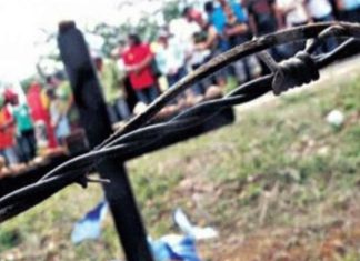 Comissão de Agricultura aprova projeto que proíbe desapropriação de terras produtivas