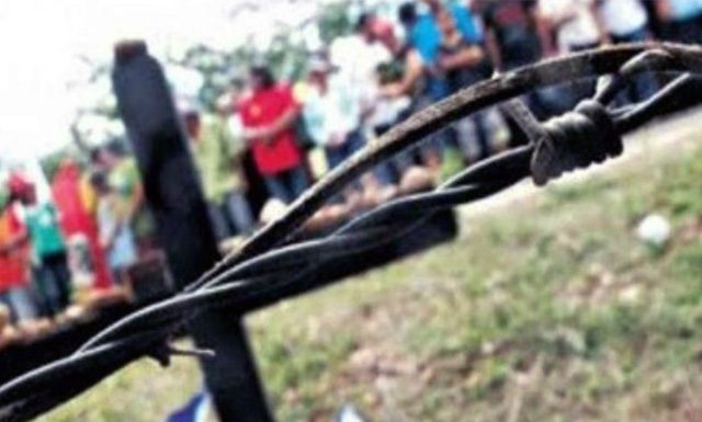 Comissão de Agricultura aprova projeto que proíbe desapropriação de terras produtivas