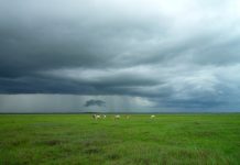 Acumulados de chuva que podem ultrapassar 80 mm no Sudeste, aponta Inmet