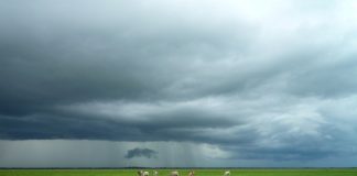 Atenção no Sudeste: Inmet e Marinha confirmam formação de novo ciclone subtropical