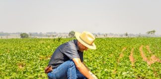 Nutrindo Talentos: SQM VITAS Brasil oferece quatro vagas de treinee