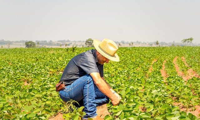 Nutrindo Talentos: SQM VITAS Brasil oferece quatro vagas de treinee