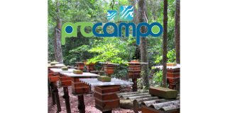 Edição 97 da Revista Procampo circula em todo ES