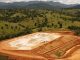 Cooabriel investe mais de R$8 milhões em nova unidade na Bahia