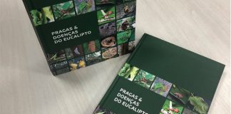 Livro reúne informações essenciais para identificação de pragas e doenças do eucalipto