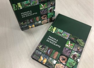 Livro reúne informações essenciais para identificação de pragas e doenças do eucalipto