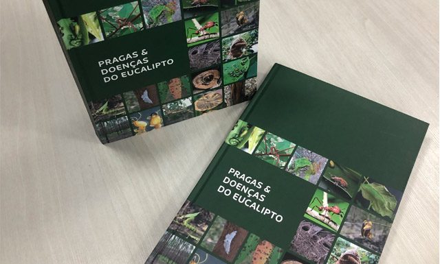 Livro reúne informações essenciais para identificação de pragas e doenças do eucalipto