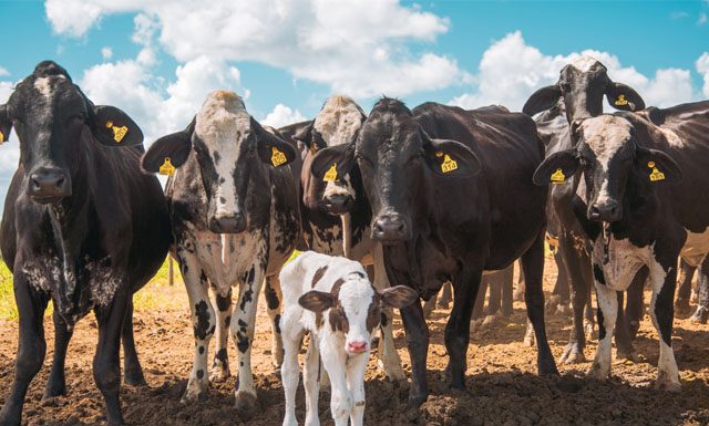 Nater Coop abre inscrições para sétimo desafio do Programa de Inovação Aberta