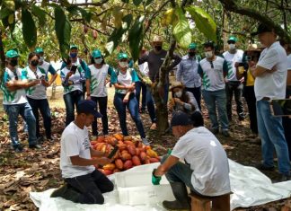 Senar-ES anuncia últimas vagas do curso gratuito de formação técnica em Fruticultura