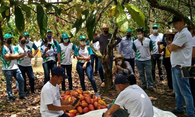 Senar-ES anuncia últimas vagas do curso gratuito de formação técnica em Fruticultura