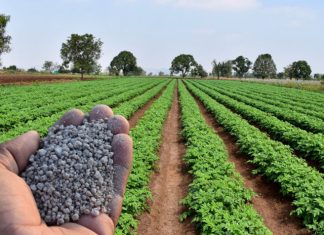 Entregas de fertilizantes cresceram 11,9% de janeiro a novembro de 2023