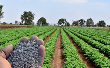 Alta crescente dos preços de fertilizantes preocupam produtores