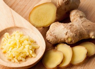 Projeto cria a Política Nacional de Incentivo à Produção de Gengibre de Qualidade