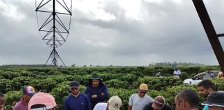 Curso da Associação de Irrigantes do Estado do Espírito Santo aprimora técnicas de irrigação por pivô central