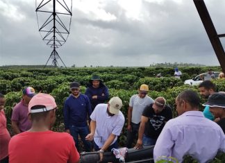 Curso da Associação de Irrigantes do Estado do Espírito Santo aprimora técnicas de irrigação por pivô central