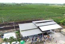 Sooretama recebe ‘Dia de Campo Café Conilon’
