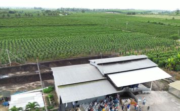 Sooretama recebe ‘Dia de Campo Café Conilon’