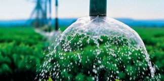 Jaguaré decreta racionamento de água